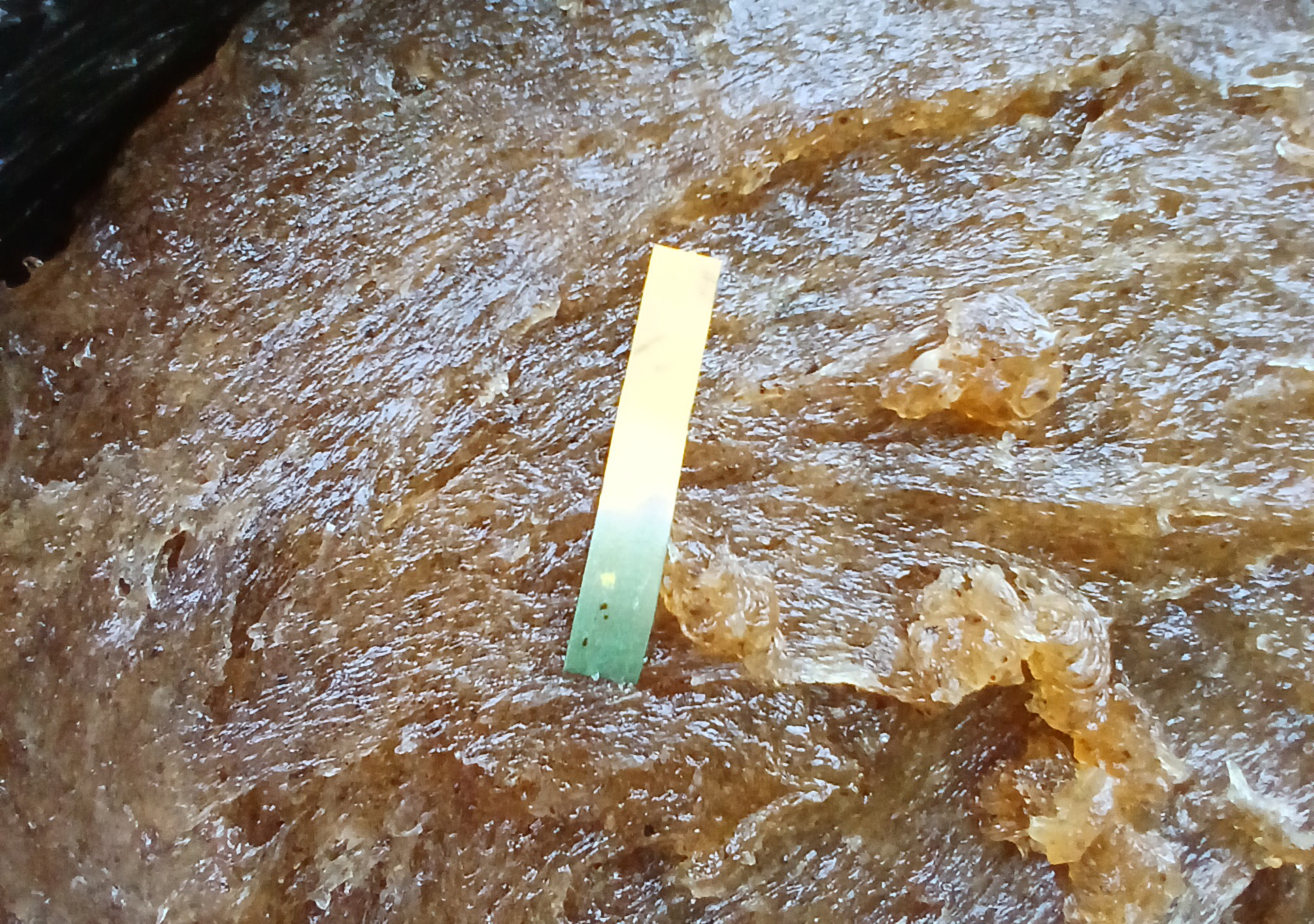 Chief's Reserve being pH tested during production