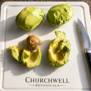 Fresh avocados prepared for Churchwell Botanicals skincare
